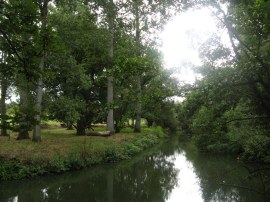 River Mole, Betchworth